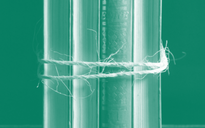 Wikipédia et ses défis