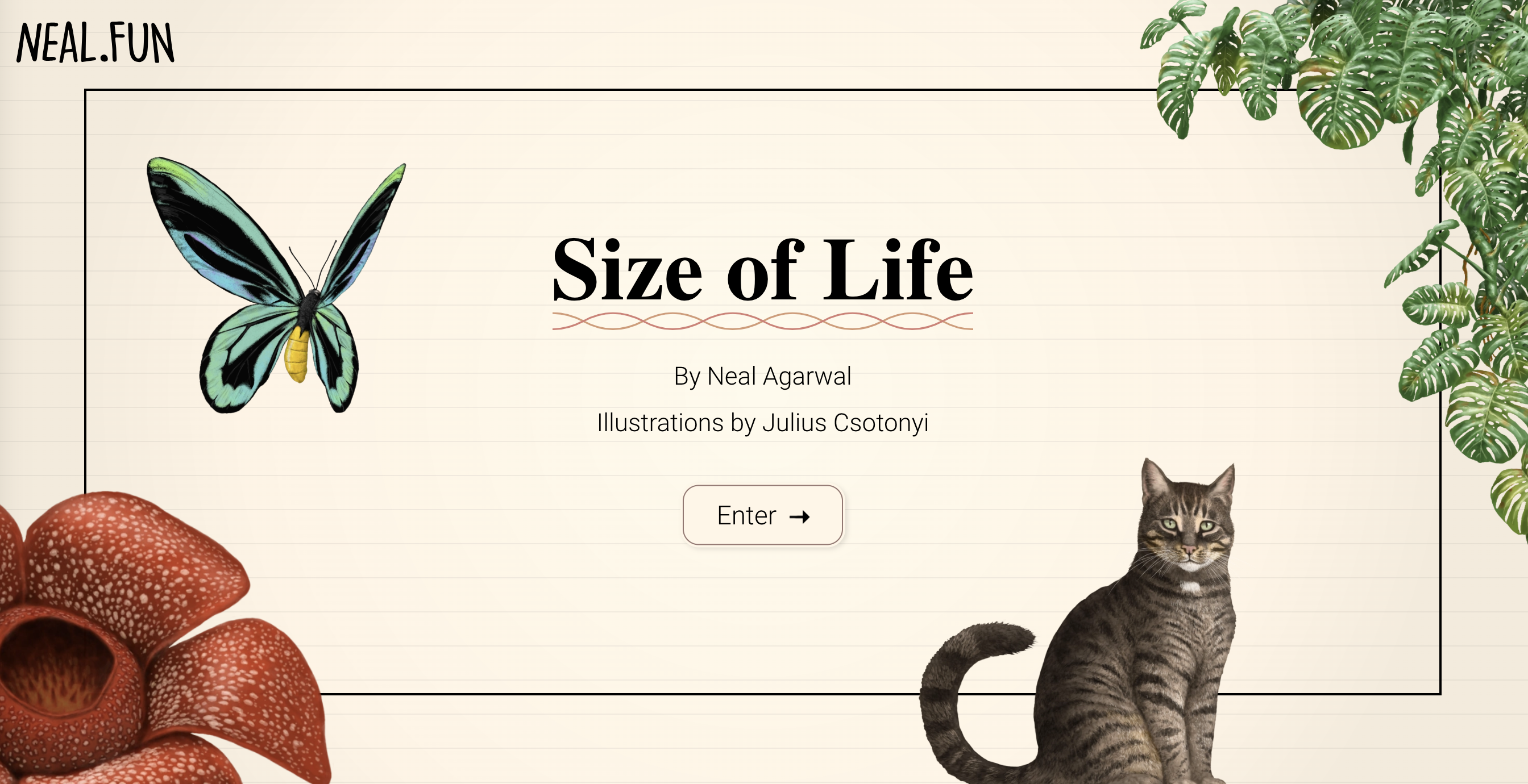 size of life