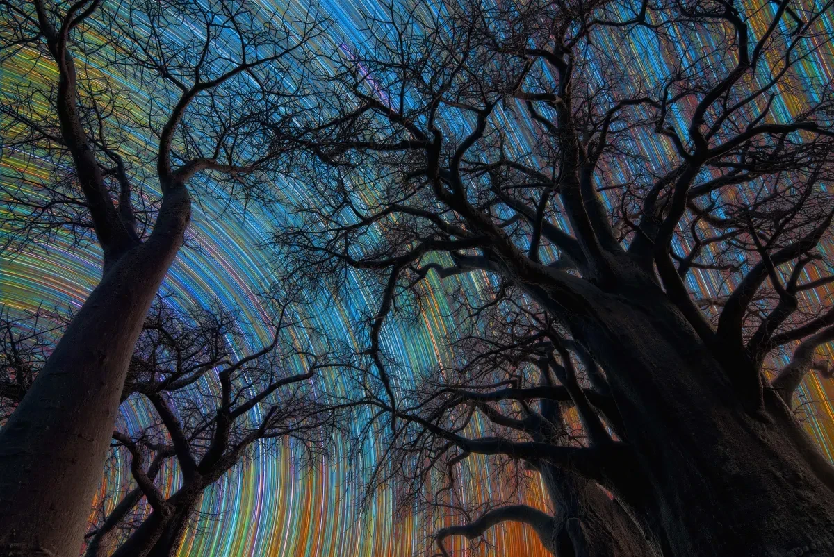 Botswana Star Trail © Stefano Pellegrini – ZWO Astronomy Photographer of the Year 2026 Skyscapes